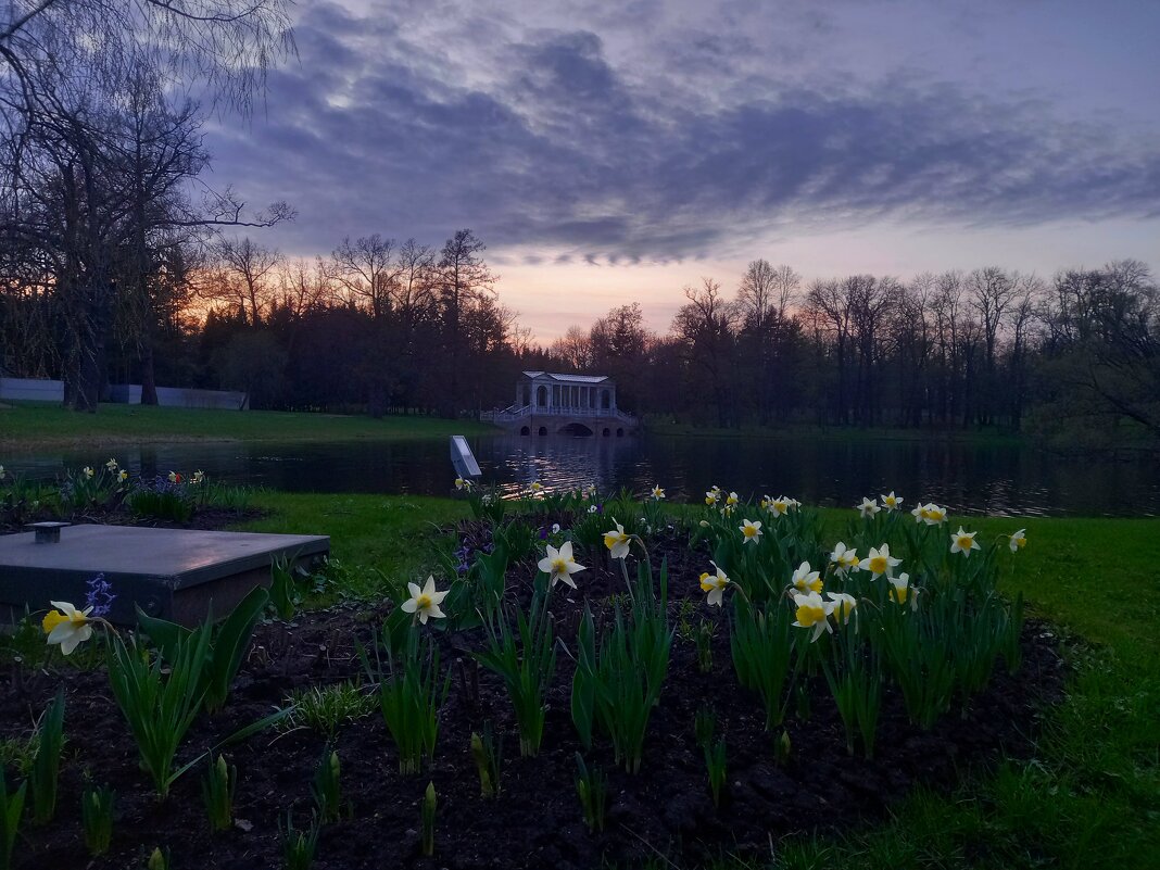 Закат - Сапсан 