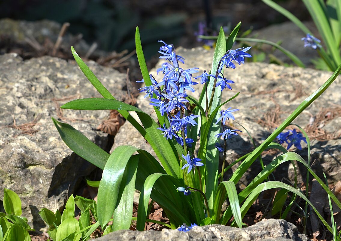 Среди камней - Татьяна Тюменка