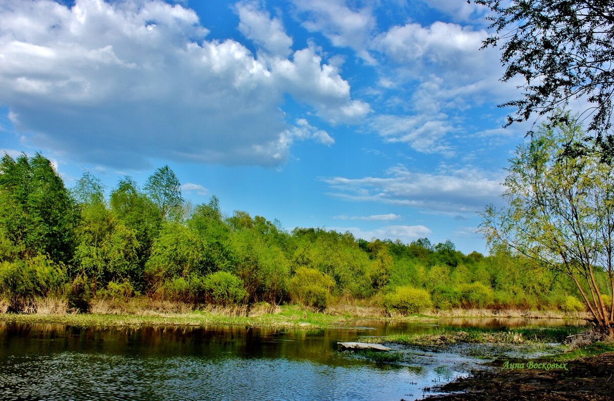 На речке Свинцовке. - Восковых Анна Васильевна На речке Свинцовке. - Восковых Анна Васильевна