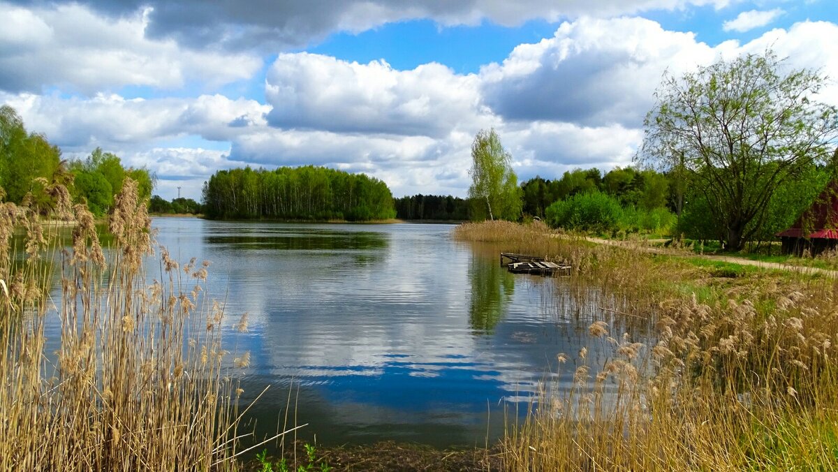 Моя Смоленщина - Милешкин Владимир Алексеевич 