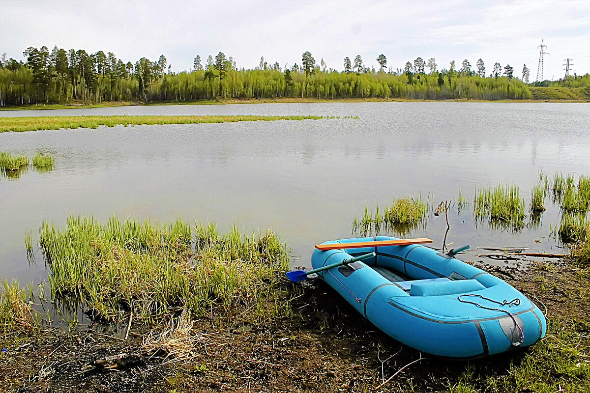 Июнь...За карасями! - Владимир 