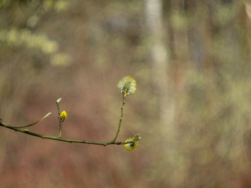 ___ - Yuriy V ___ - Yuriy V