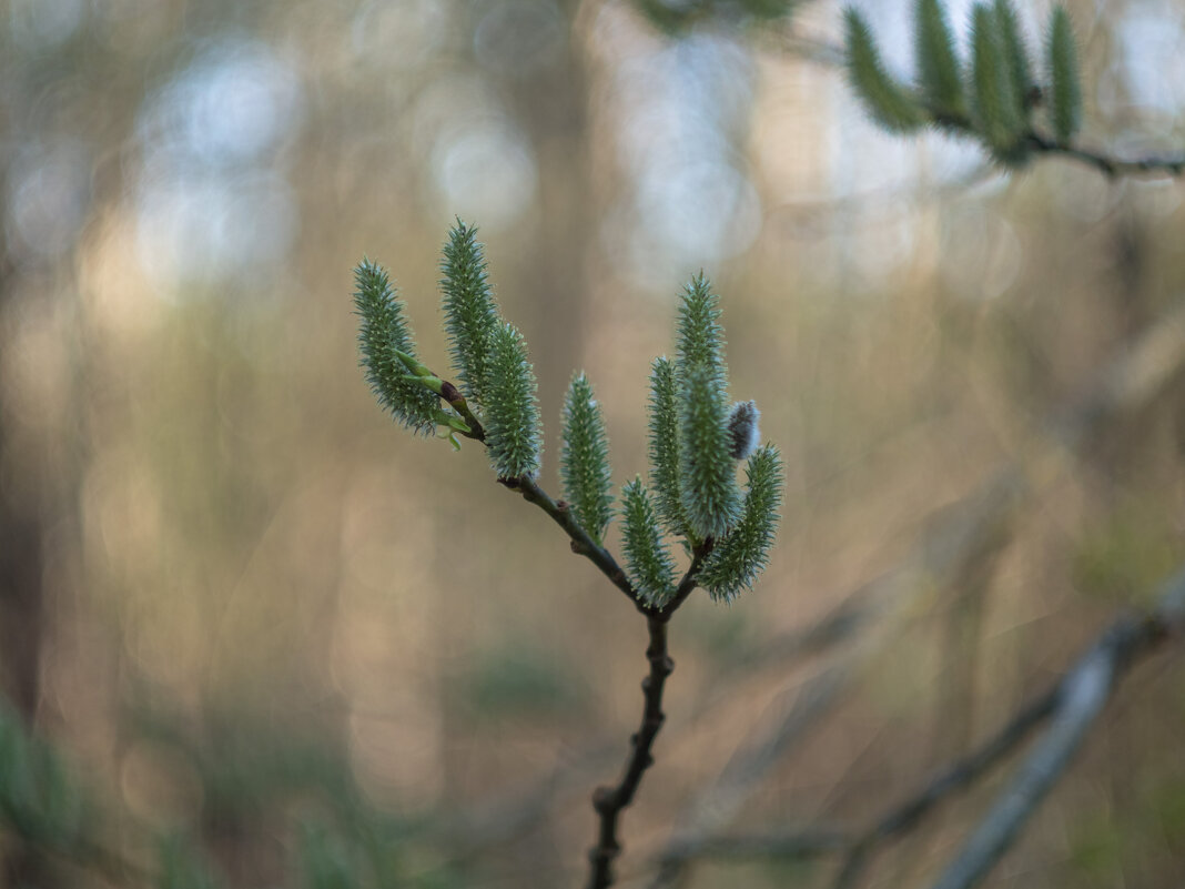 ___ - Yuriy V ___ - Yuriy V