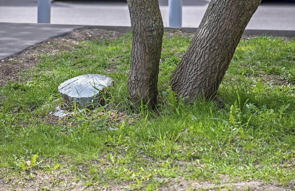 Не дожил до лета - Валерий Иванович