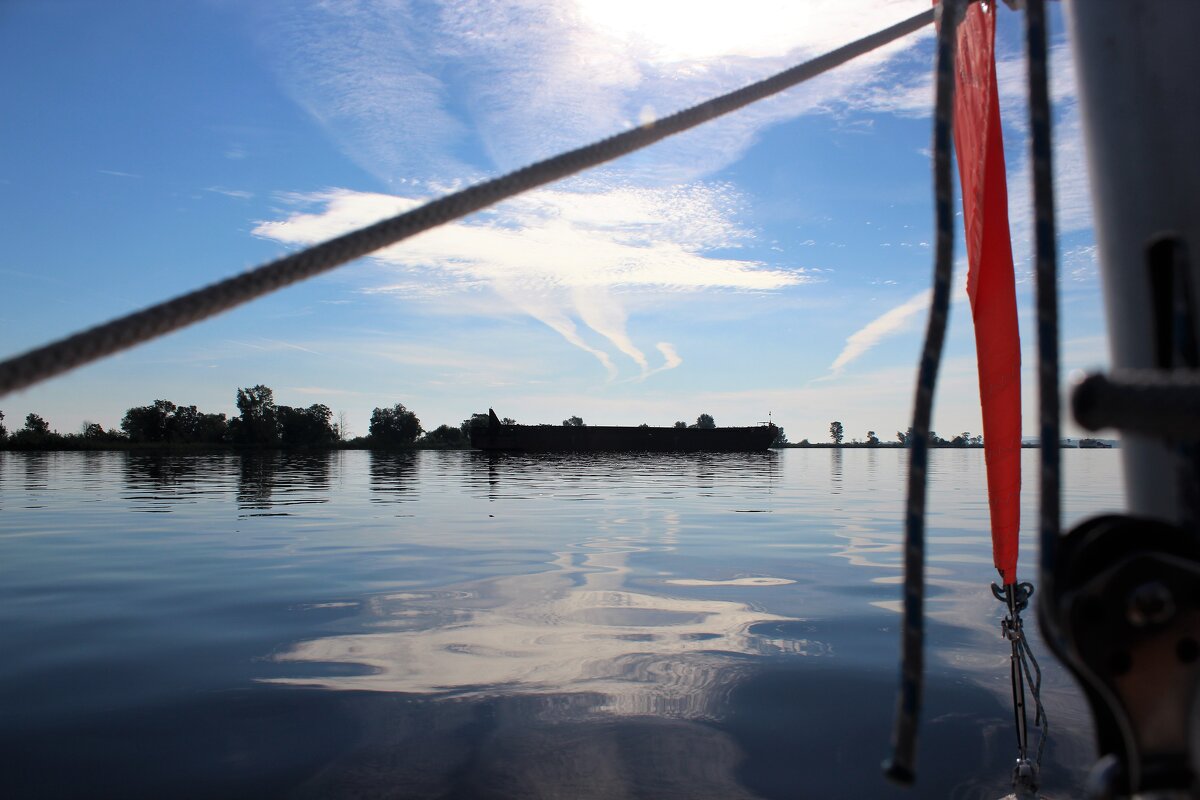 Птичья баржа - Марсель Валеев