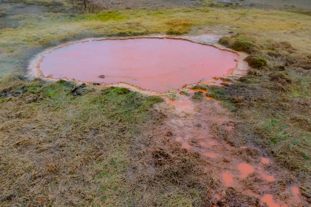 Розовой пруд с горячей водой - Георгий А Розовой пруд с горячей водой - Георгий А