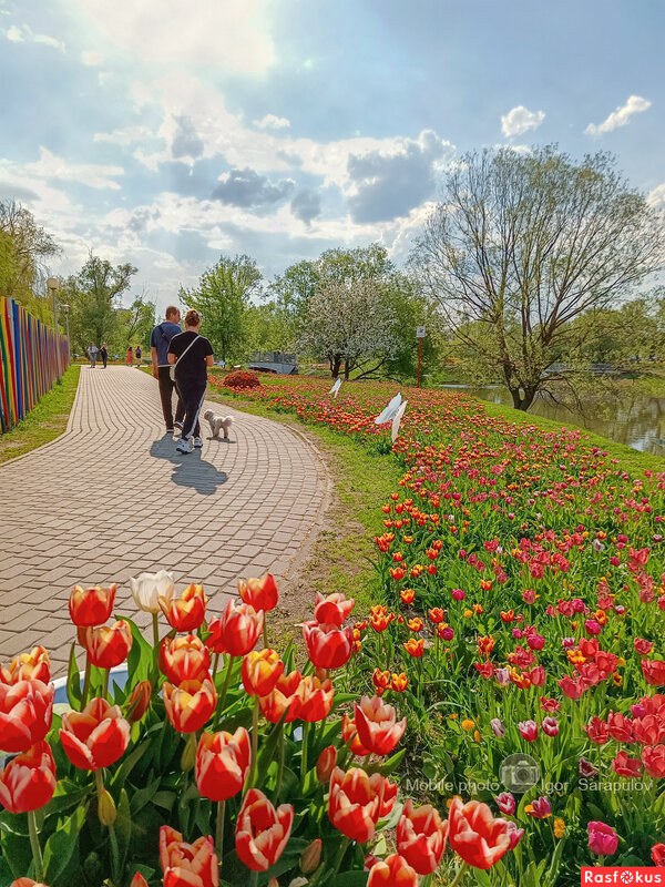 Апрельскими тротуарами - Игорь Сарапулов Апрельскими тротуарами - Игорь Сарапулов