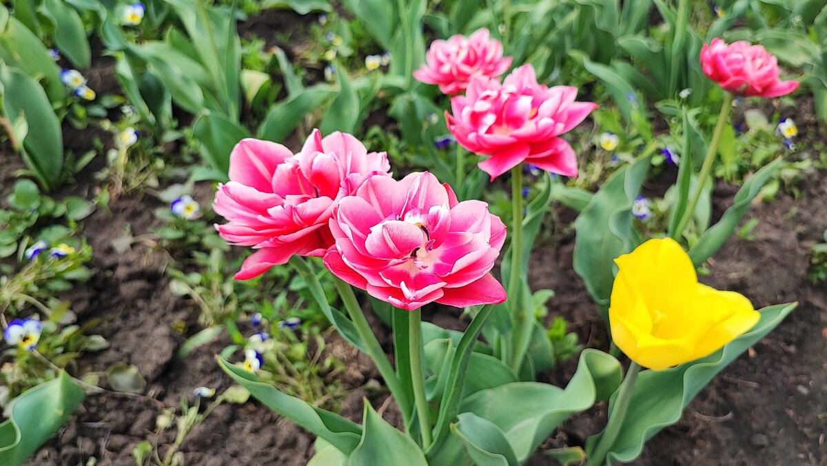 ,,, - Сергей Тимоновский ,,, - Сергей Тимоновский