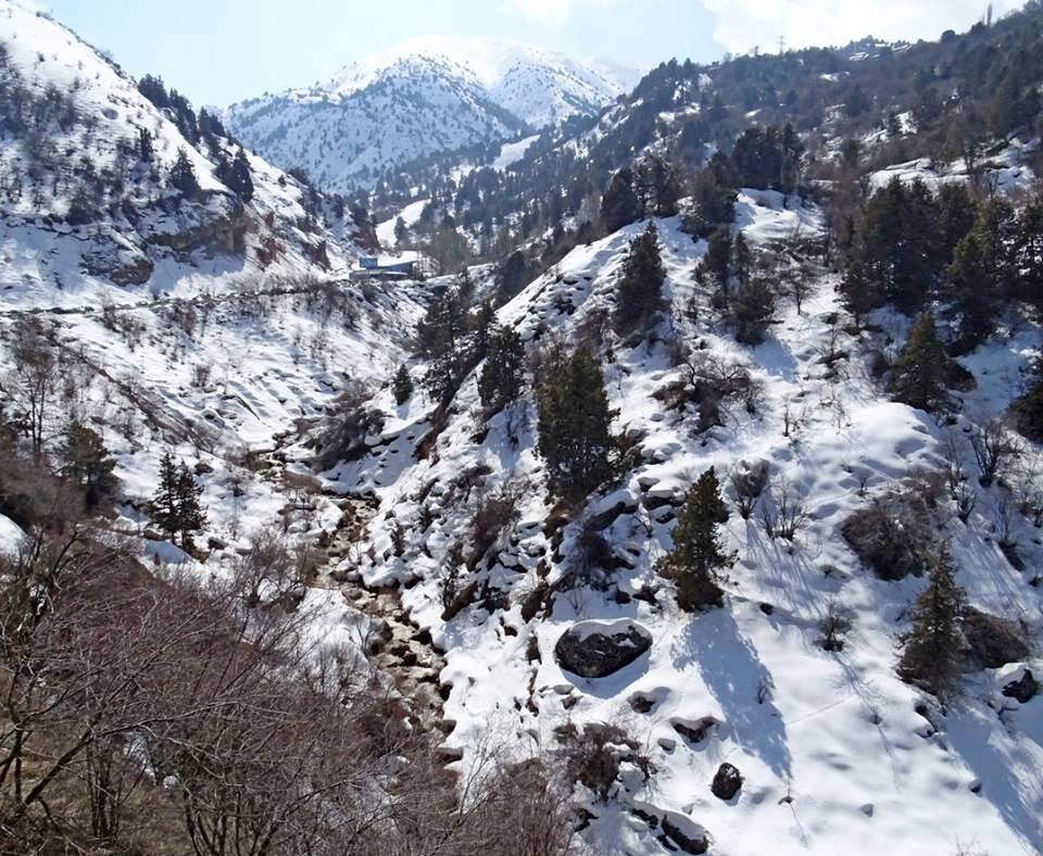 ЗИМНЯЯ ПРОГУЛКА. - Виктор Осипчук