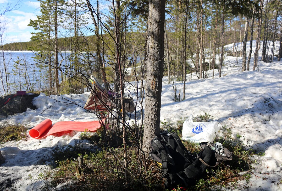 Привал в весеннем лесу - Ольга 