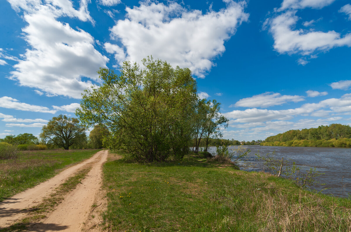 ... - василий 