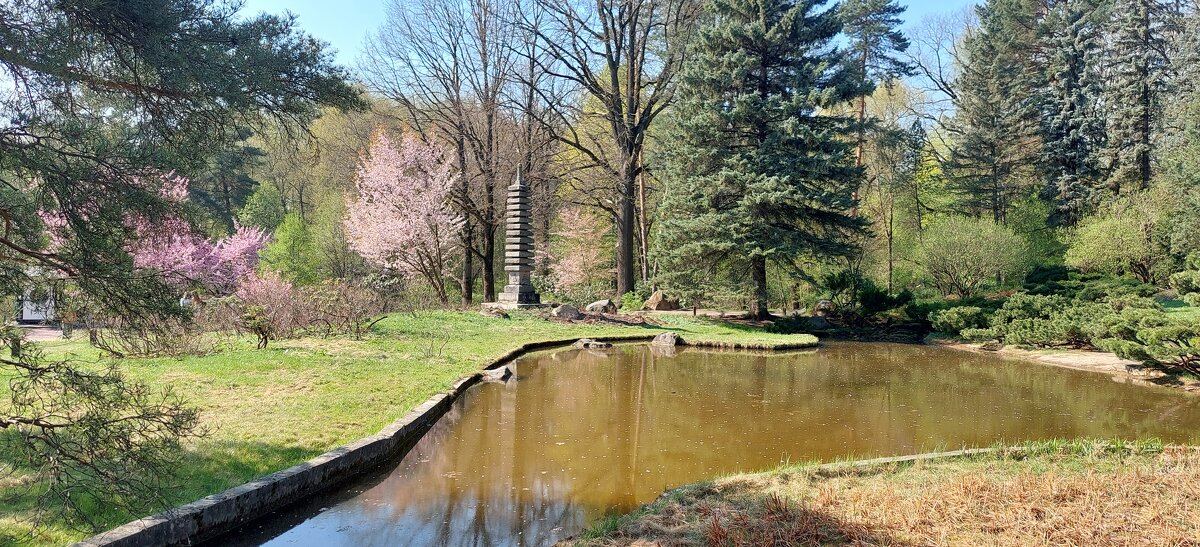 Весна - ИРЭН@ .