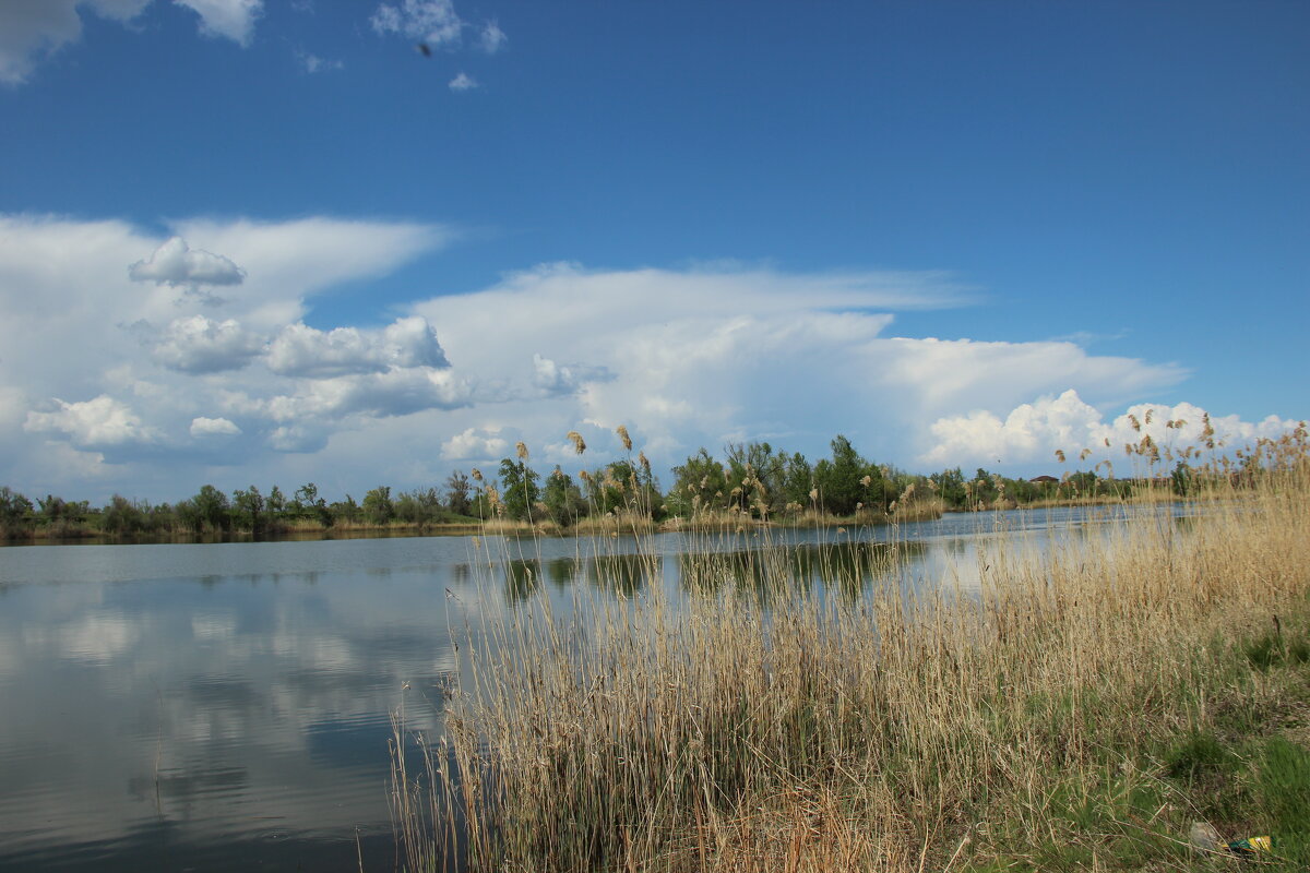 Весна на дону. - Виктор Весна на дону. - Виктор