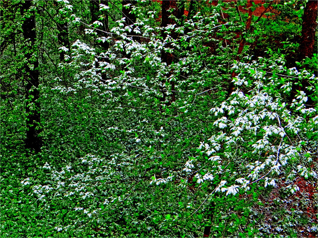 ВЕСНА - Юрий Владимирович 34 ВЕСНА - Юрий Владимирович 34