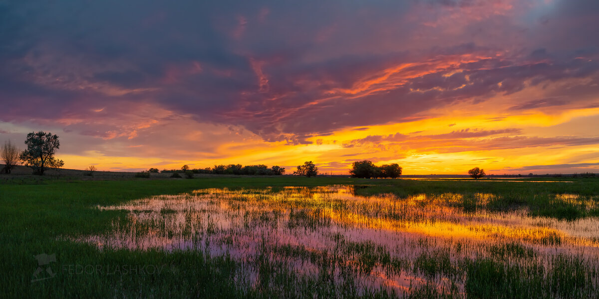 Миг яркой красоты - Фёдор. Лашков