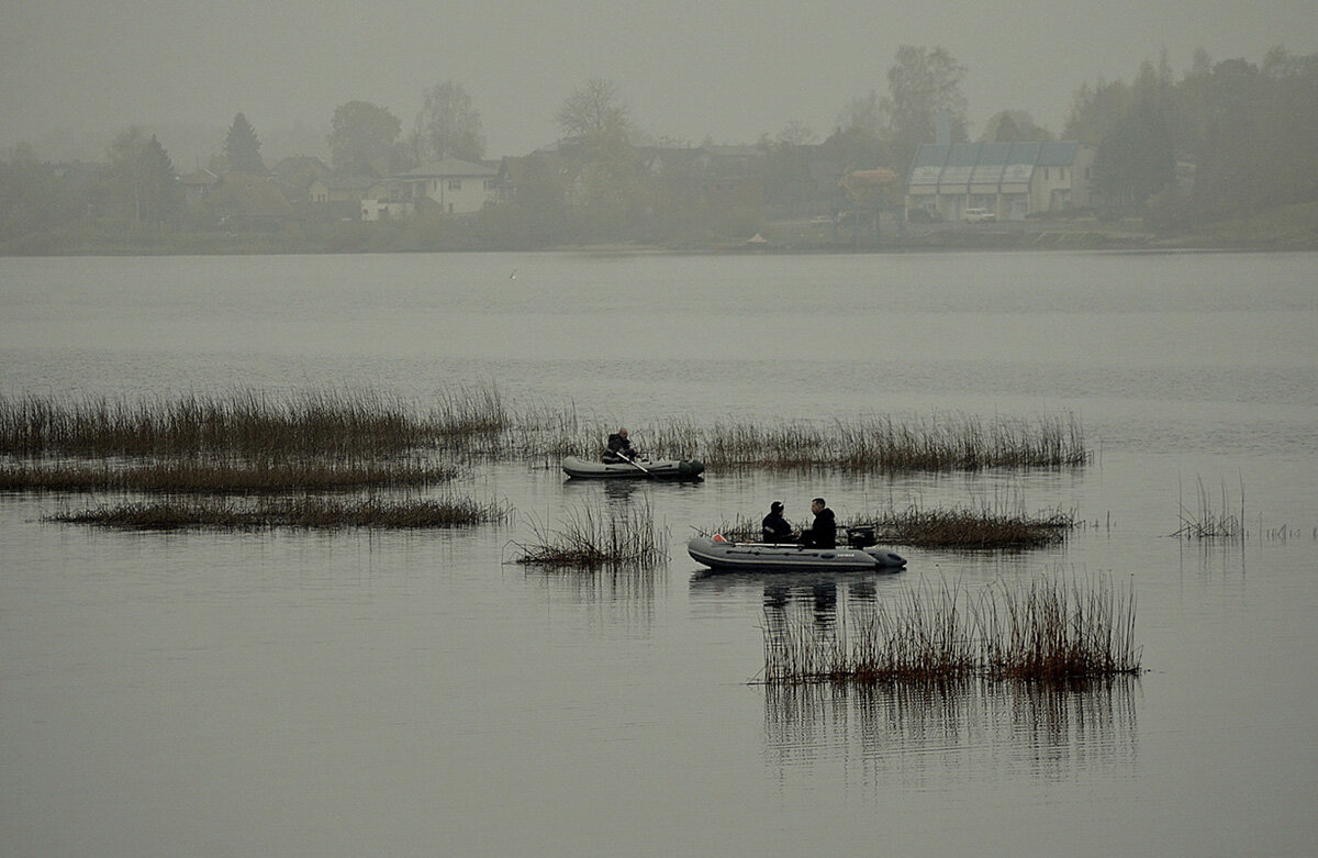 Туман не помеха.... - Aleksandr Gal