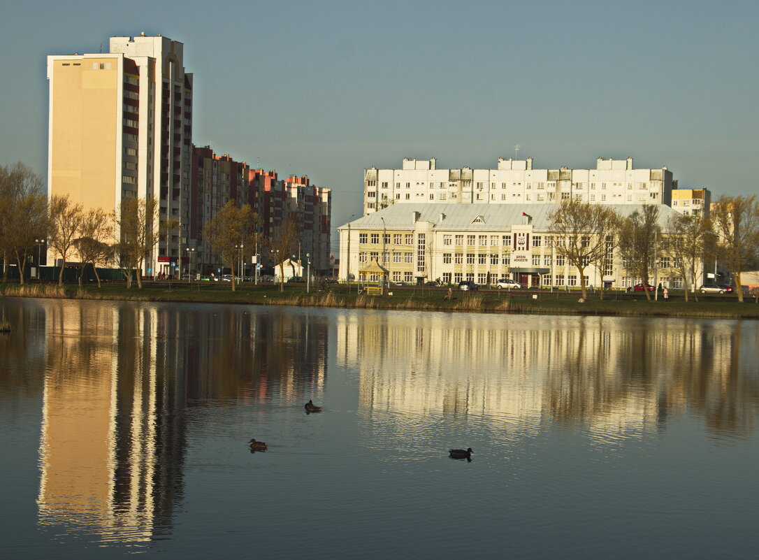 отражения - Владимир Зырянов