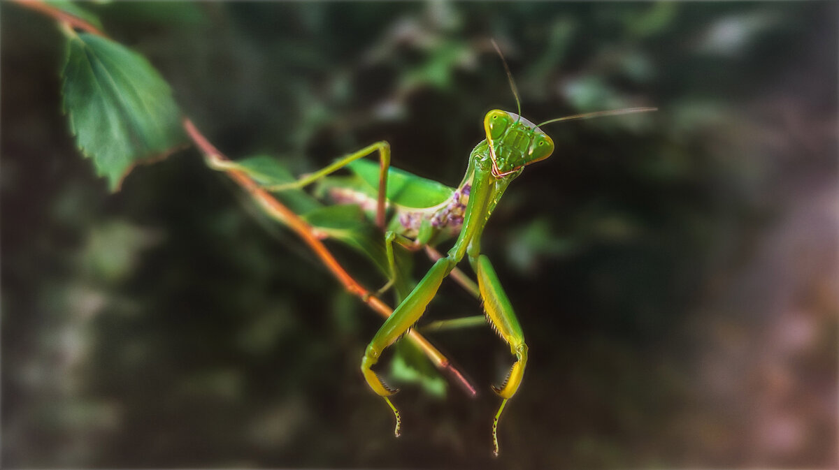 Кто первый на сеанс лечения головных болей..? ;) - AZ east3