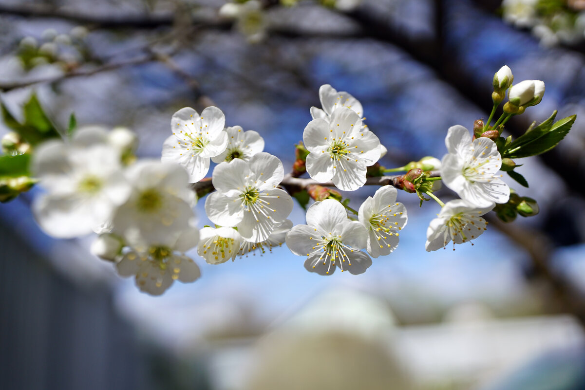 *** - Иван Литвинов *** - Иван Литвинов