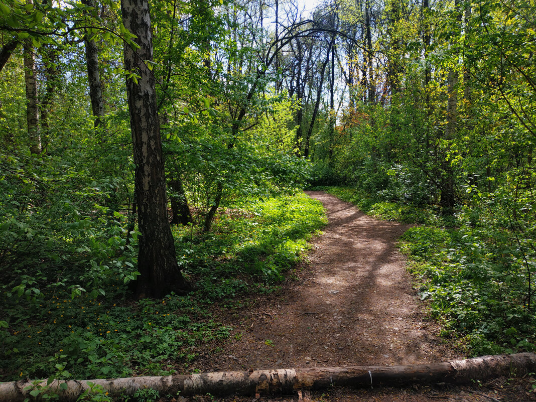 * * * - Андрей Лукьянов