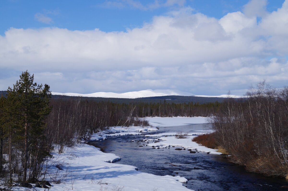 Весенний ручей - Сергей Швечков Весенний ручей - Сергей Швечков