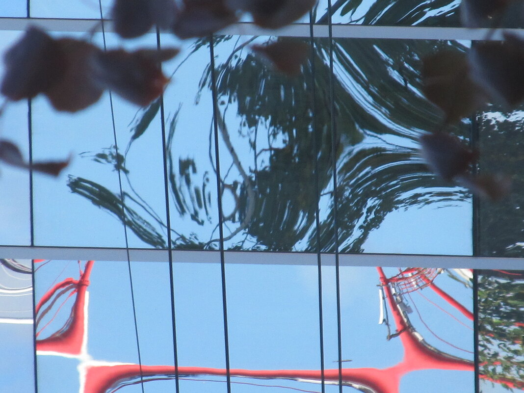 вариации на тему - Елена Шаламова