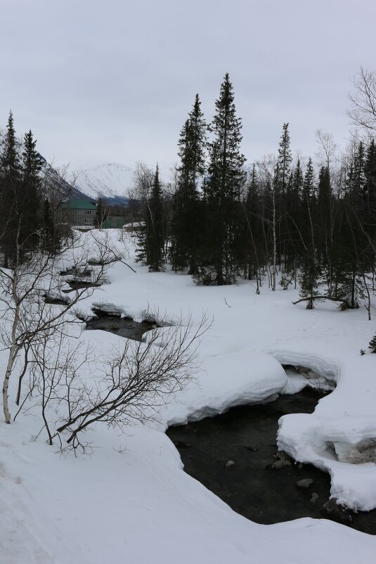 Река Вудъяврйок - Ольга Река Вудъяврйок - Ольга
