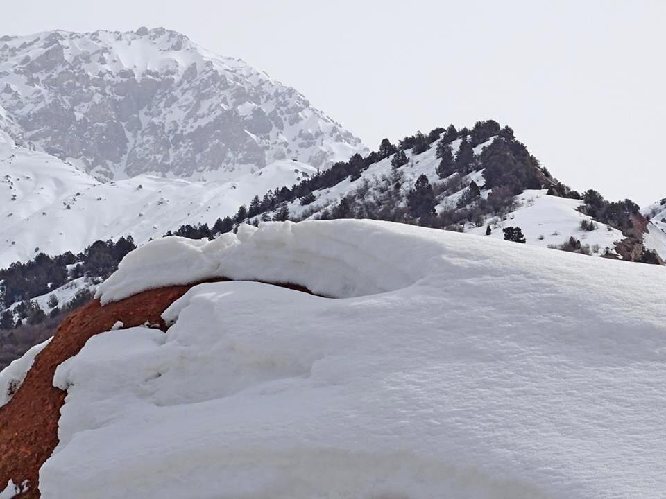 ВОСКРЕСНАЯ ПРОГУЛКА. - Виктор Осипчук
