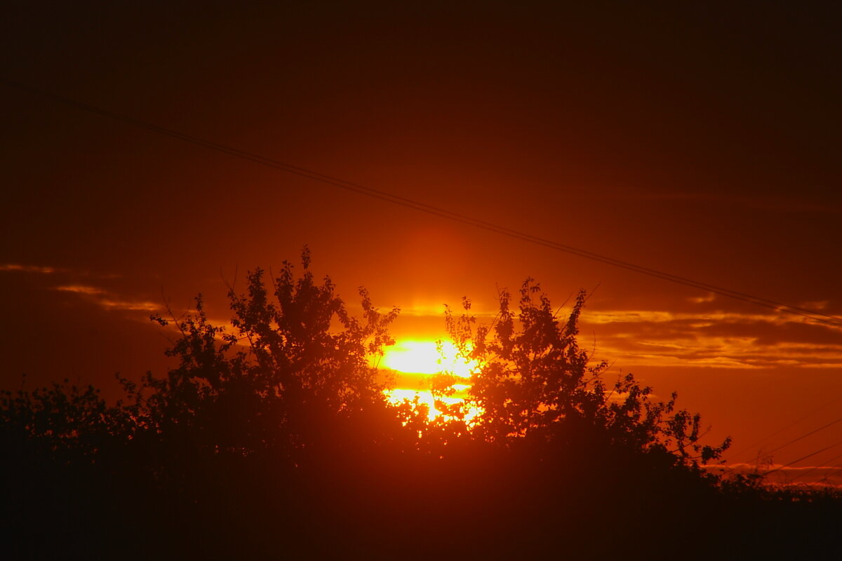 Кто рано встает - олег свирский 