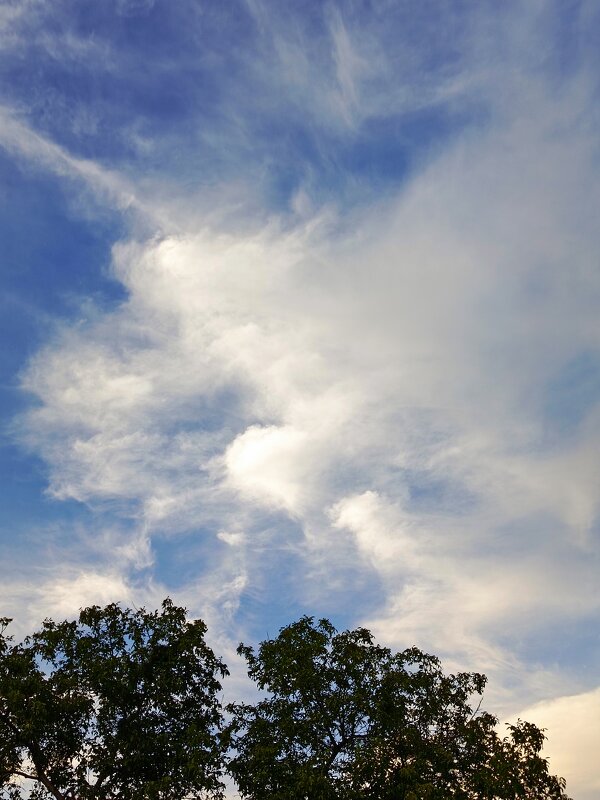 Облака - Татьяна Пальчикова