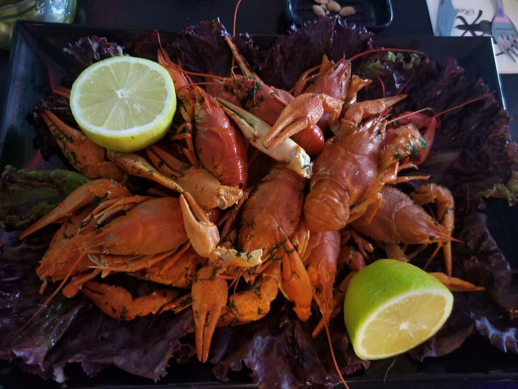 Раки . - Светлана Хращевская