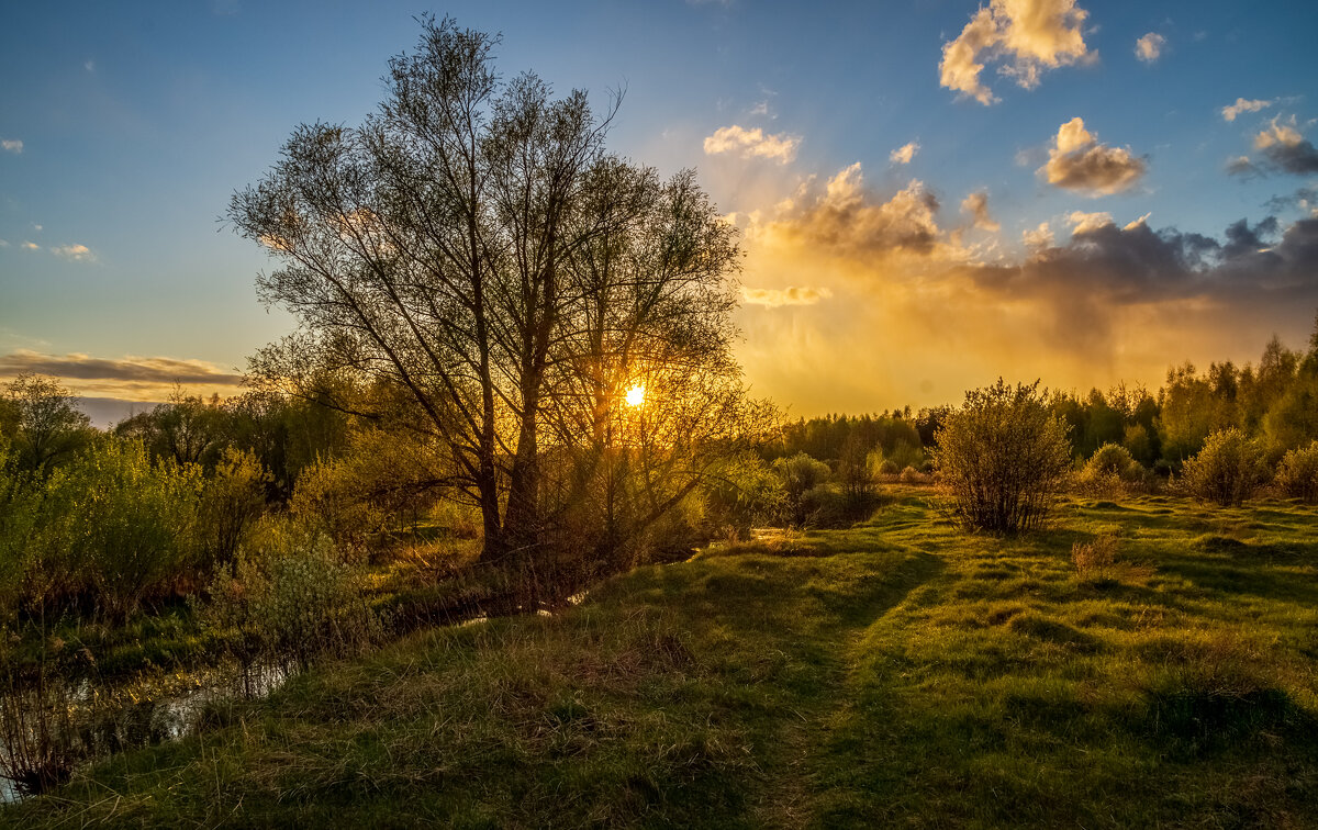 Весенний вечер 5 - Андрей Дворников