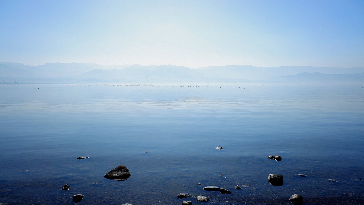 *** - веселов михаил 