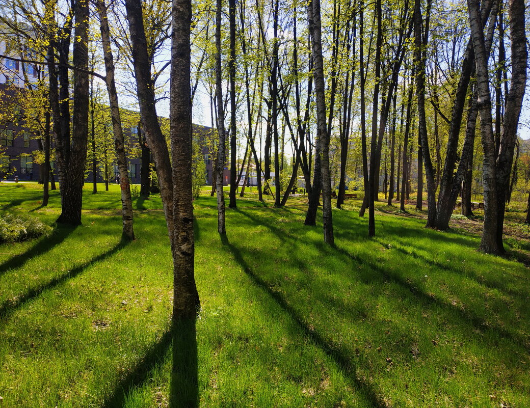 Тени - моё всё :-) - Андрей Лукьянов