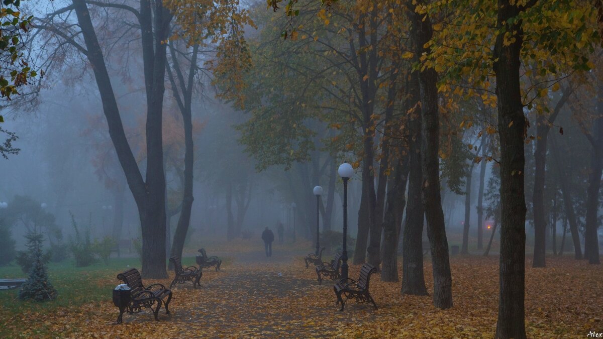 3801 - Alex . 3801 - Alex .