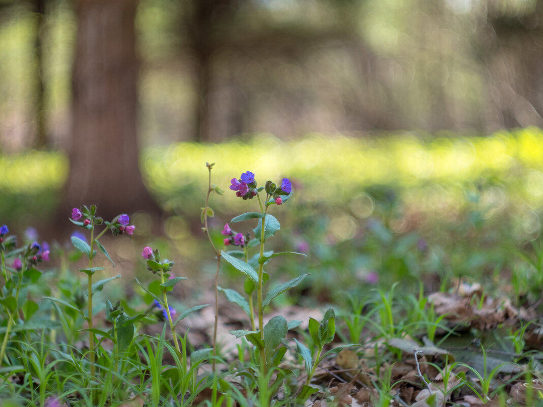 ___ - Yuriy V ___ - Yuriy V