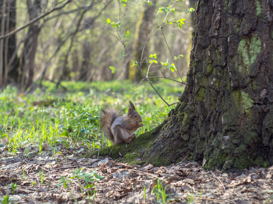 ___ - Yuriy V ___ - Yuriy V