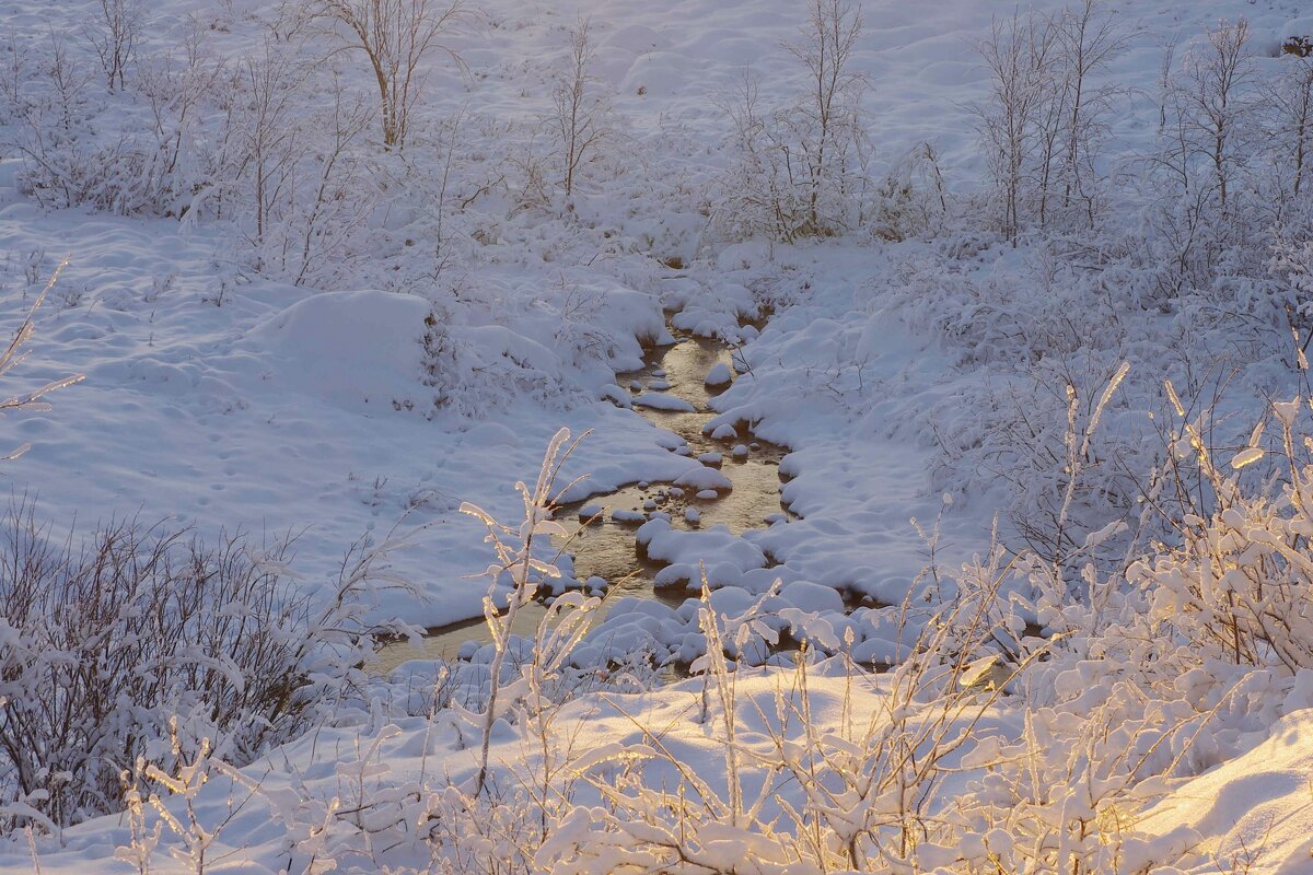 Ручей в снегу - Сергей Швечков Ручей в снегу - Сергей Швечков