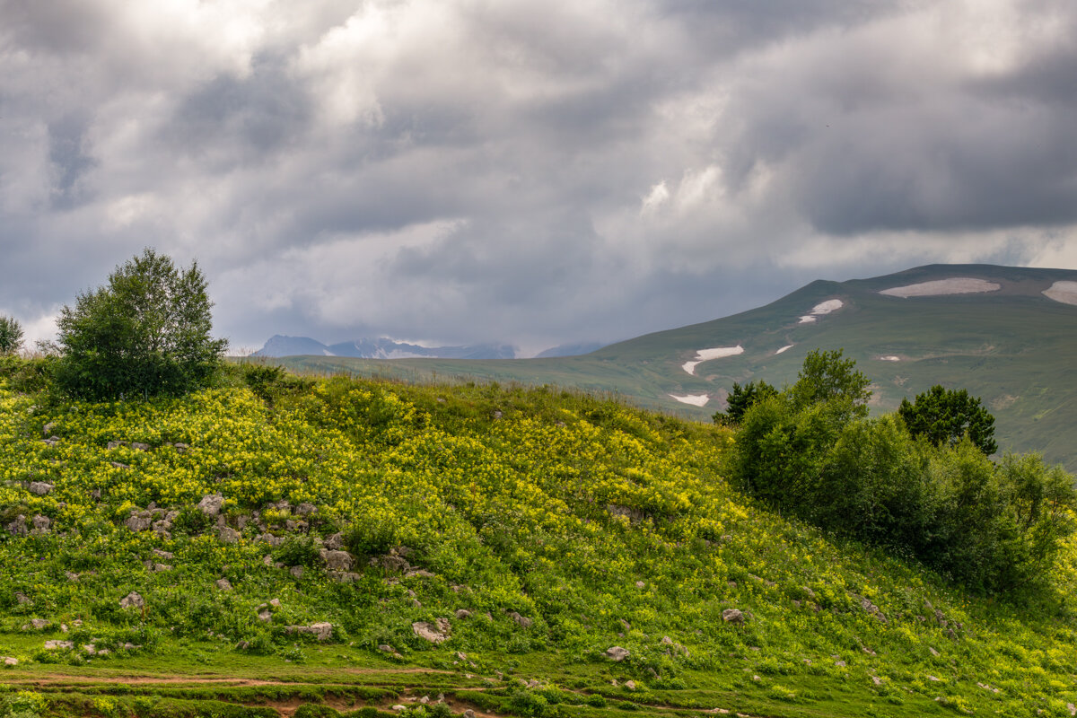 Лаго-Наки Июль 2024 - Игорь Сикорский Лаго-Наки Июль 2024 - Игорь Сикорский