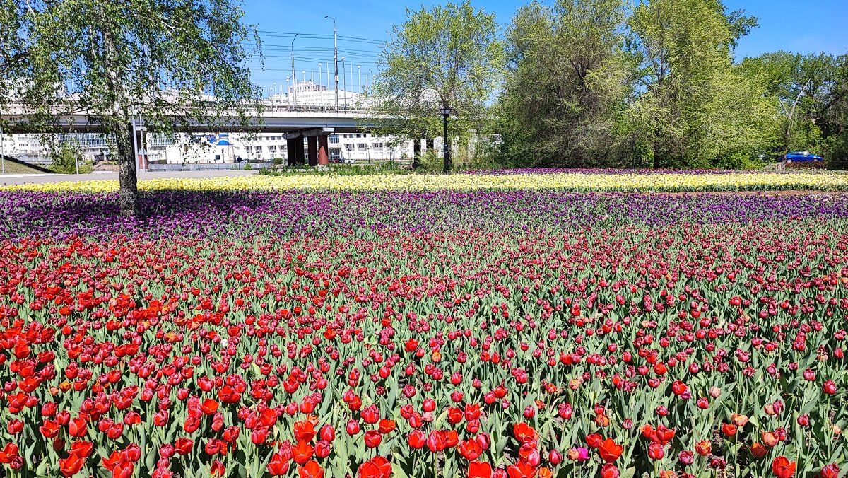 ,,, - Сергей Тимоновский ,,, - Сергей Тимоновский