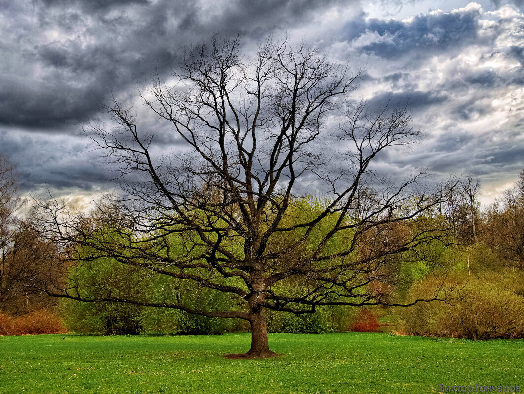 в парке - Laryan1 в парке - Laryan1