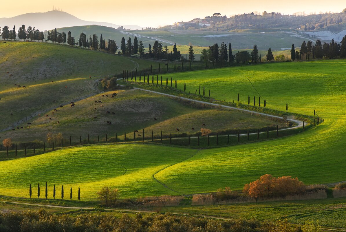 Дорога... - Алекс Римский