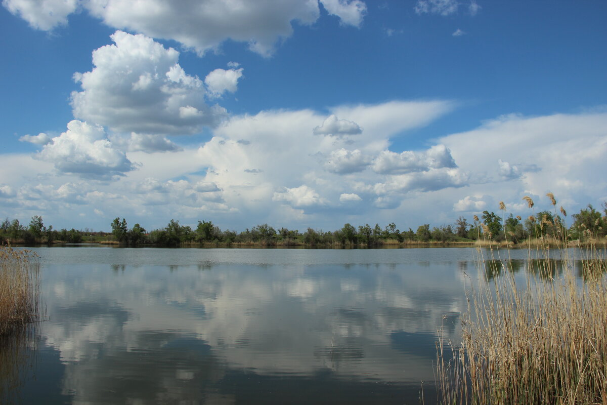 У Дона. - Виктор 