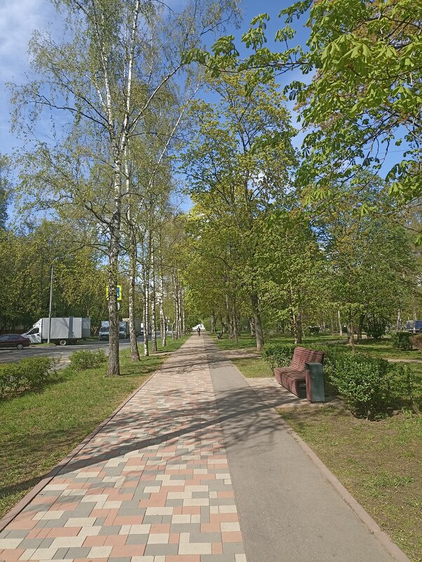 Есенинский бульвар. - Pippa Есенинский бульвар. - Pippa