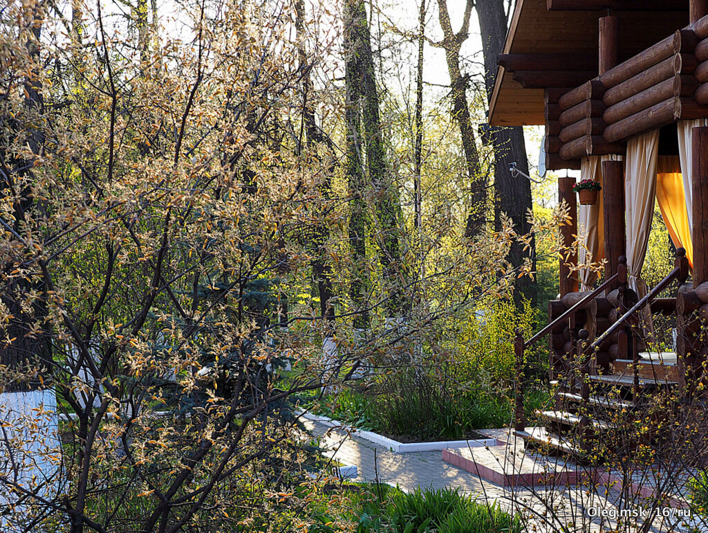весна идет по городу - Олег Лукьянов весна идет по городу - Олег Лукьянов