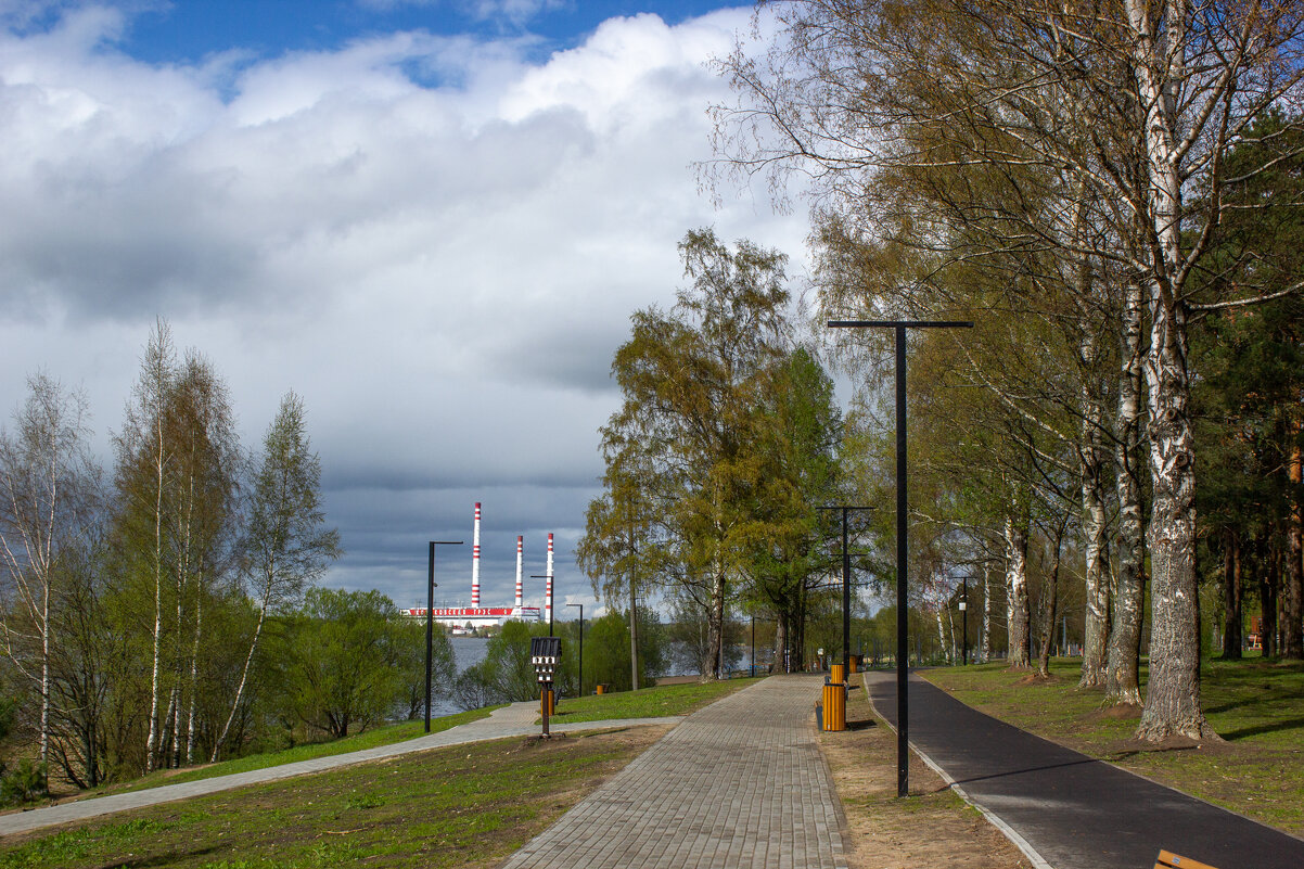 После дождя. - Михаил "Skipper"