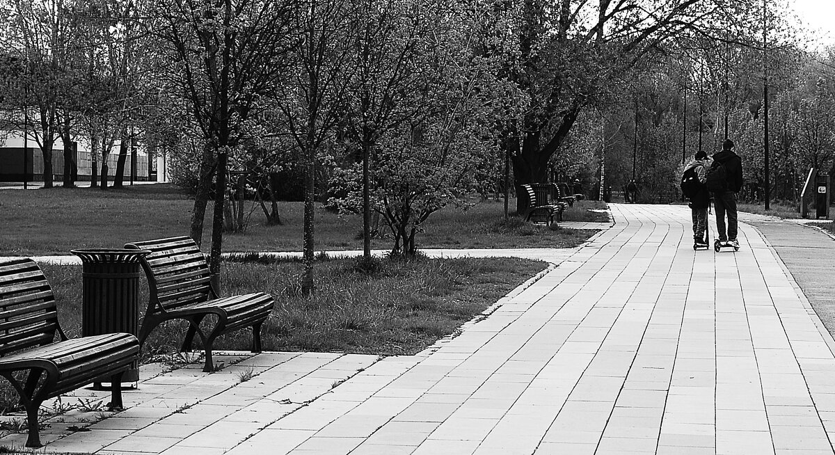 И уносит их вдаль... - Василий Палий И уносит их вдаль... - Василий Палий