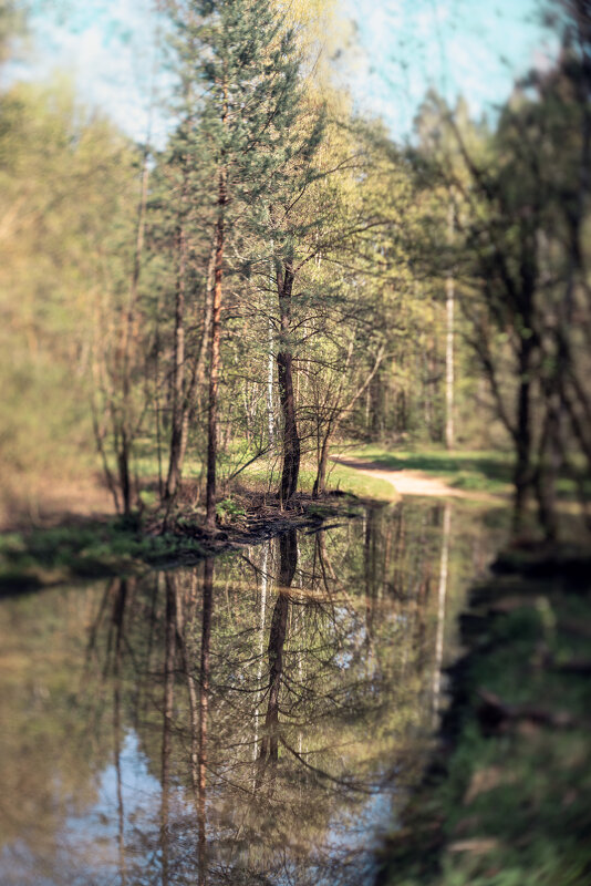 Боке - sorovey Sol Боке - sorovey Sol