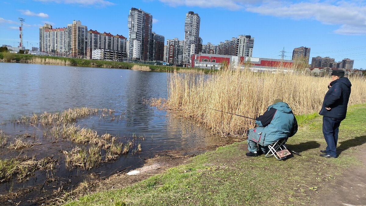 Рыбаки на берегу. - Ольга 