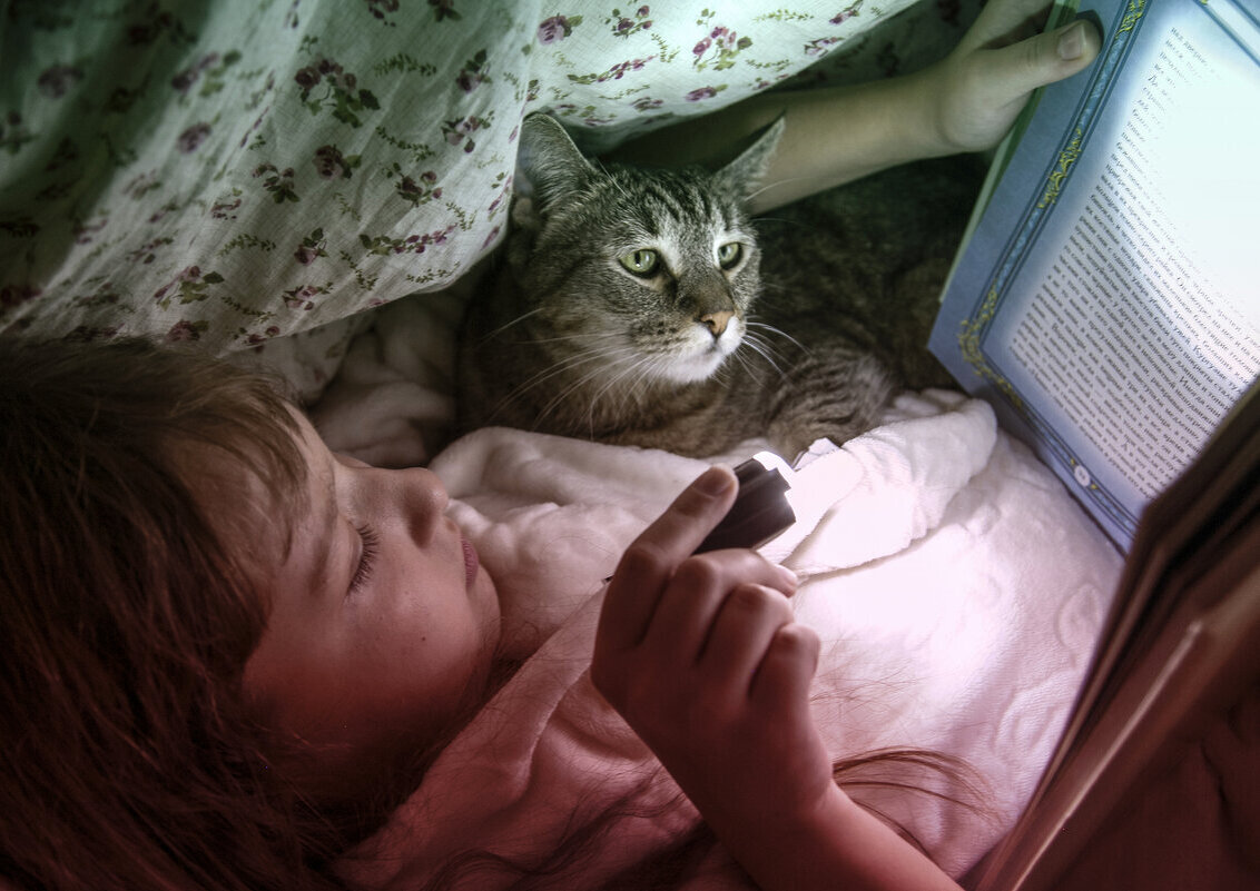 Под одеялом - Дмитрий Балашов Под одеялом - Дмитрий Балашов